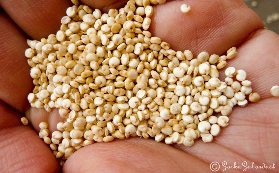 Quinoa